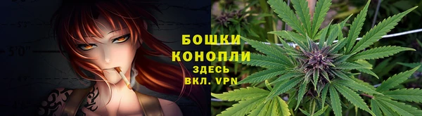 стаф Остров