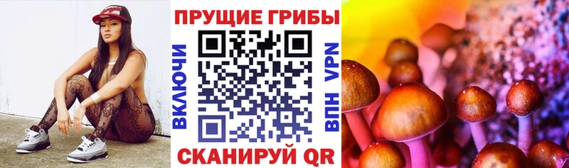 купить наркотик  нарко площадка Telegram  Галлюциногенные грибы мицелий  Почеп 